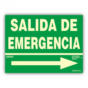 Señal Texto "Saída de Emergência" com Flecha Direita 22x30cm